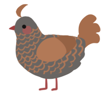 A grey and brown chicken with a lace pattern