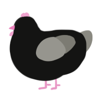 Colonel Pinktoes, a black and ash chicken