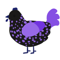 UV-A, a sable and blurple chicken with a speckle pattern