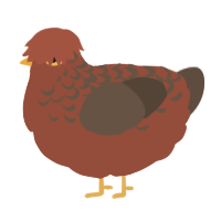 A russet and bark chicken with a half-lace pattern