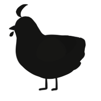 A black chicken