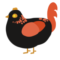 Jack-o-Lantern, a sable and vermilion chicken with a neck-speckle pattern