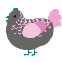 Wisp, a grey and pink chicken with a half-lace pattern