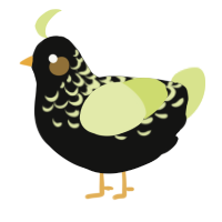 A black and lemon chicken with a half-lace pattern