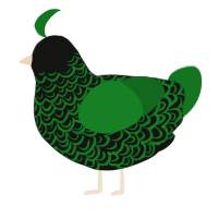 A black and leaf chicken with a double-lace pattern