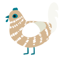 A beige and white chicken with a bar pattern