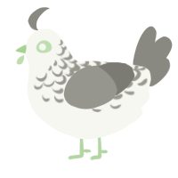 A white and ash chicken with a half-lace pattern
