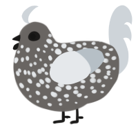 A grey and mist chicken with a speckle pattern