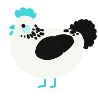 A white and black chicken with a neck-speckle pattern