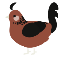 Robin, a russet and black chicken with a neck-speckle pattern