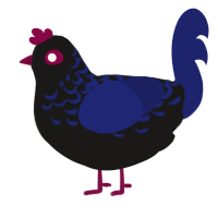 A sable and navy chicken with a half-lace pattern