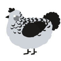 A mist and sable chicken with a half-lace pattern