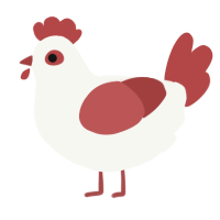 A white and red chicken