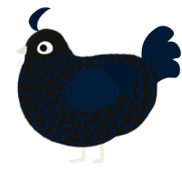 A black and tumblr chicken with a lace pattern