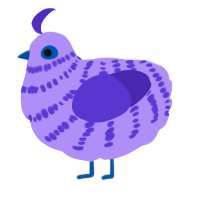 A lilac and indigo chicken with a bar pattern