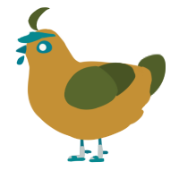 A gold and olive chicken
