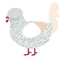 A silver and cream chicken with a double-lace pattern