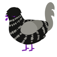 A black and ash chicken with a bar pattern