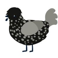 A black and ash chicken with a speckle pattern