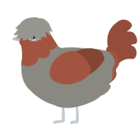 A ash and russet chicken with a head pattern
