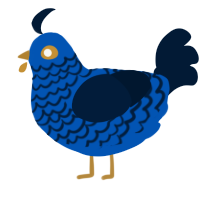 A ultramarine and tumblr chicken with a lace pattern