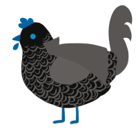 A black and grey chicken with a double-lace pattern