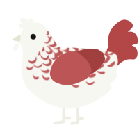 A white and red chicken with a half-lace pattern