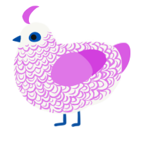 A white and orchid chicken with a double-lace pattern