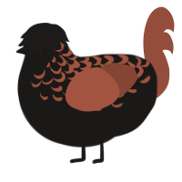 A sable and russet chicken with a half-lace pattern