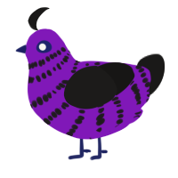 A violet and sable chicken with a bar pattern