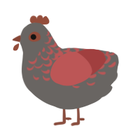 A grey and red chicken with a half-lace pattern