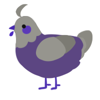 A overcast and ash chicken with a head pattern