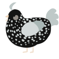 bean, a black and silver chicken with a speckle pattern