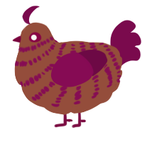 Red Velvet Cake, a russet and wine chicken with a bar pattern