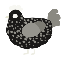 A sable and ash chicken with a speckle pattern