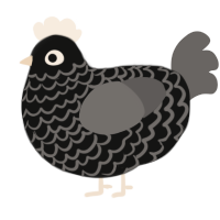 A black and grey chicken with a lace pattern