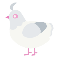 A white and mist chicken with a head pattern