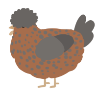 fluffy potato, a brown and grey chicken with a speckle pattern