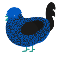 A ultramarine and sable chicken with a double-lace pattern