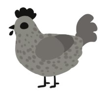 A ash and grey chicken with a speckle pattern