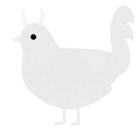 Giegue, a black chicken with a speckle pattern