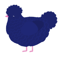 A navy chicken with a lace pattern