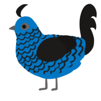 A sapphire and sable chicken with a lace pattern