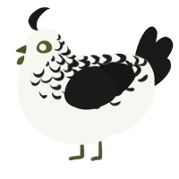 A white and sable chicken with a half-lace pattern