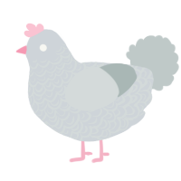 A mist and silver chicken with a double-lace pattern