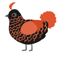 A sable and vermilion chicken with a lace pattern