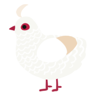 A white and cream chicken with a lace pattern