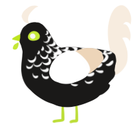 A sable and cream chicken with a half-lace pattern