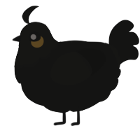 A black chicken with a head pattern