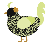 A black and lemon chicken with a double-lace pattern